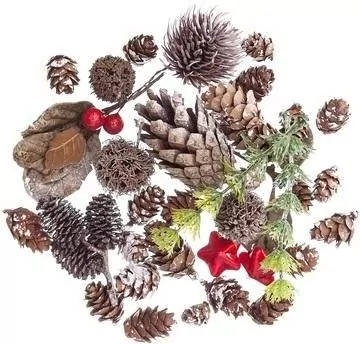 Naturalne elementy dekoracyjne - tantis.pl