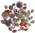 Naturalne elementy dekoracyjne - tantis.pl