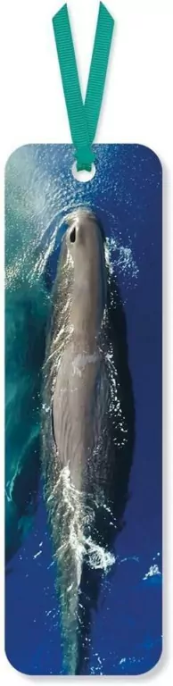 Zakładka do książki ze wstążką. Sperm Whale - tantis.pl
