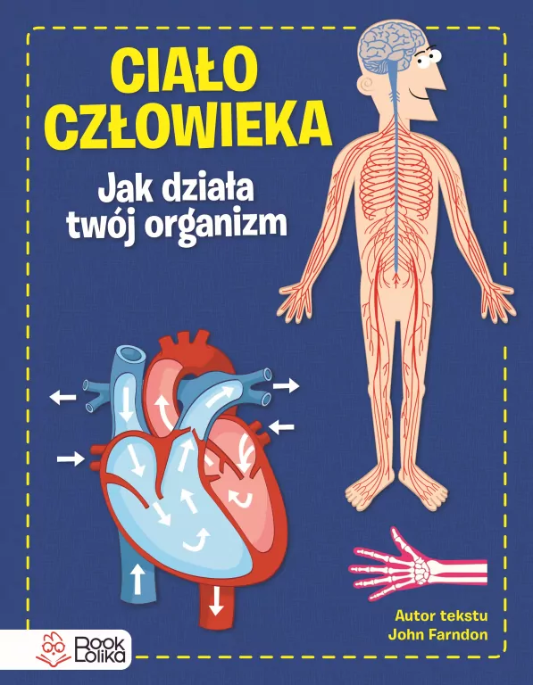 Ciało człowieka. Jak działa Twój organizm - tantis.pl