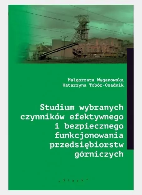 Studium wybranych czynników efektywnego i bezpiecznego funkcjonowania przedsiębiorstw górniczych - tantis.pl