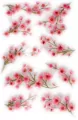 Naklejki 3D Kwiaty 501866 STARPAK - tantis.pl