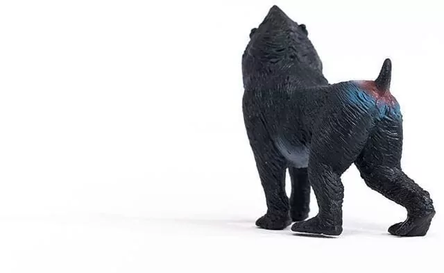 Mandryl 14856 - tantis.pl