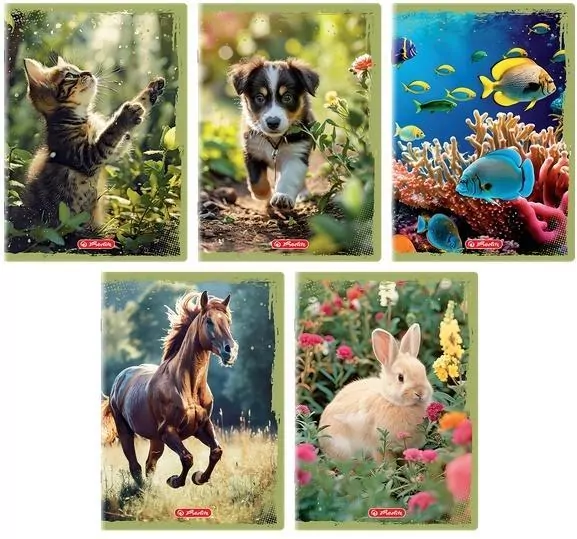 Zeszyt A5/16K gładki Animals (20szt) - tantis.pl