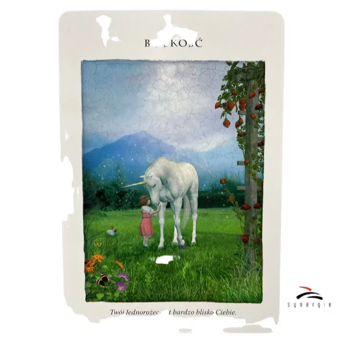 Karty Jednorożców - tantis.pl