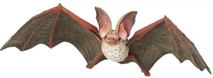 Nietoperz - tantis.pl