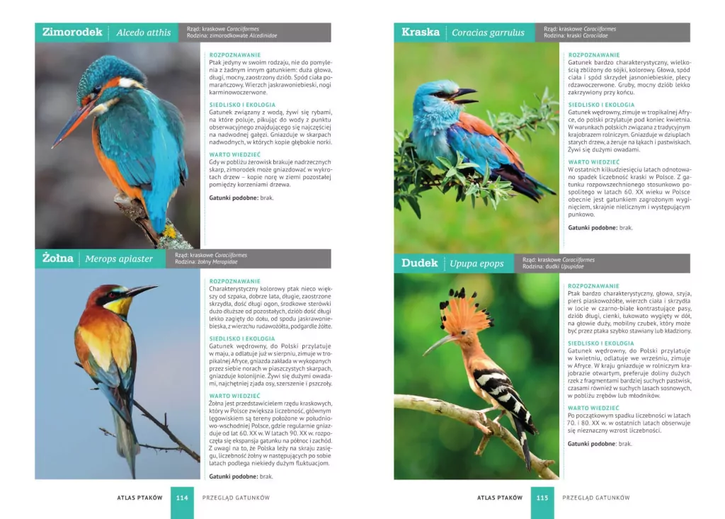 Atlas ptaków. 250 polskich gatunków - tantis.pl