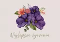 Karnet - Najlepsze życzenia - fioletowa - tantis.pl