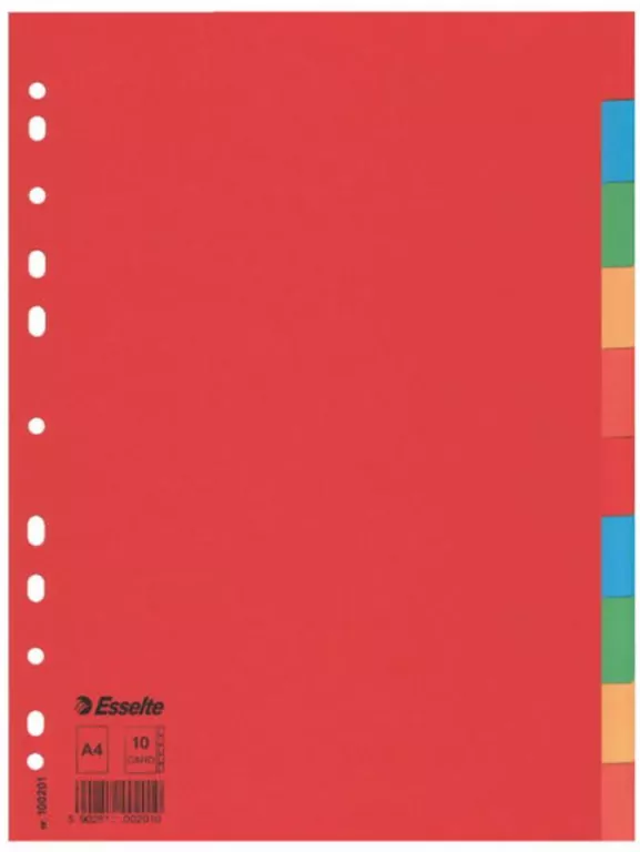 PRZEKLADKA A4 KART ESS 10KOL 100201 FOL - tantis.pl