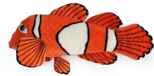 Ryba błazenek 45cm - tantis.pl