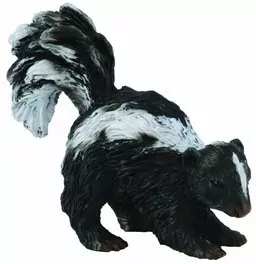 Skunks S - tantis.pl