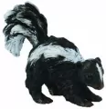 Skunks S - tantis.pl