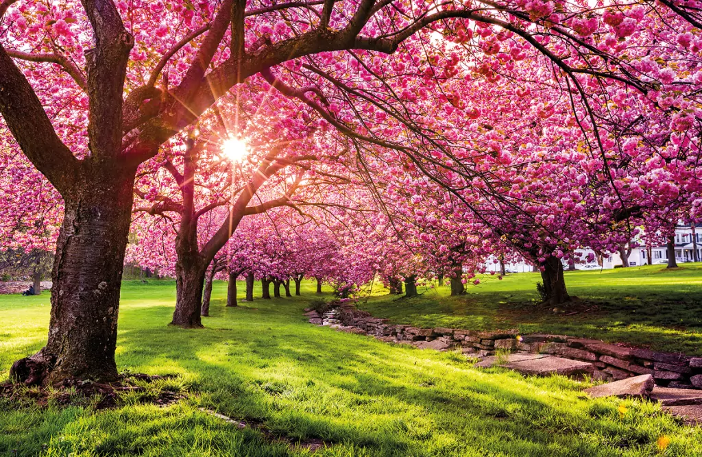 Terminarz 2021 Ścienny MiP - tantis.pl