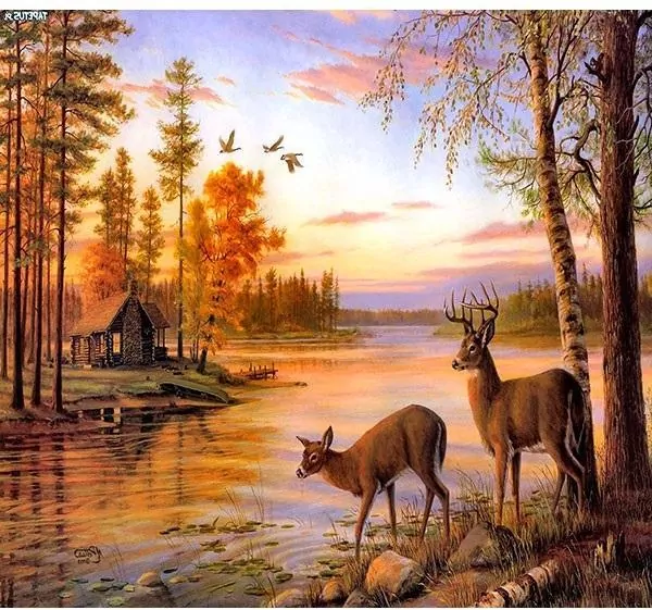 Mozaika diamentowa 5D - Jeleń 40x30cm - tantis.pl