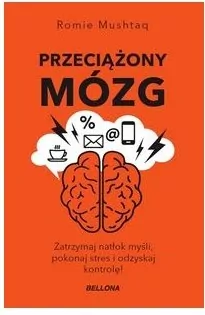 Przeciążony mózg - tantis.pl