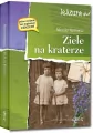 Ziele na kraterze. Wydanie z opracowaniem i streszczeniem - tantis.pl