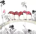 Karnet Swarovski kwadrat CL1207 Różowe ptaszk - tantis.pl