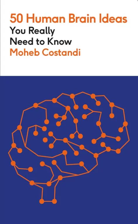 50 Human Brain Ideas You Really Need to Know wer. angielska - tantis.pl