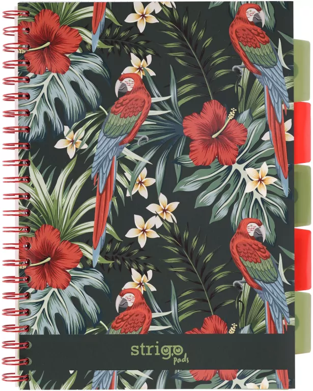 Kołozeszyt Pads A4/100K kratka Tropiki Papuga - tantis.pl