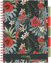 Kołozeszyt Pads A4/100K kratka Tropiki Papuga