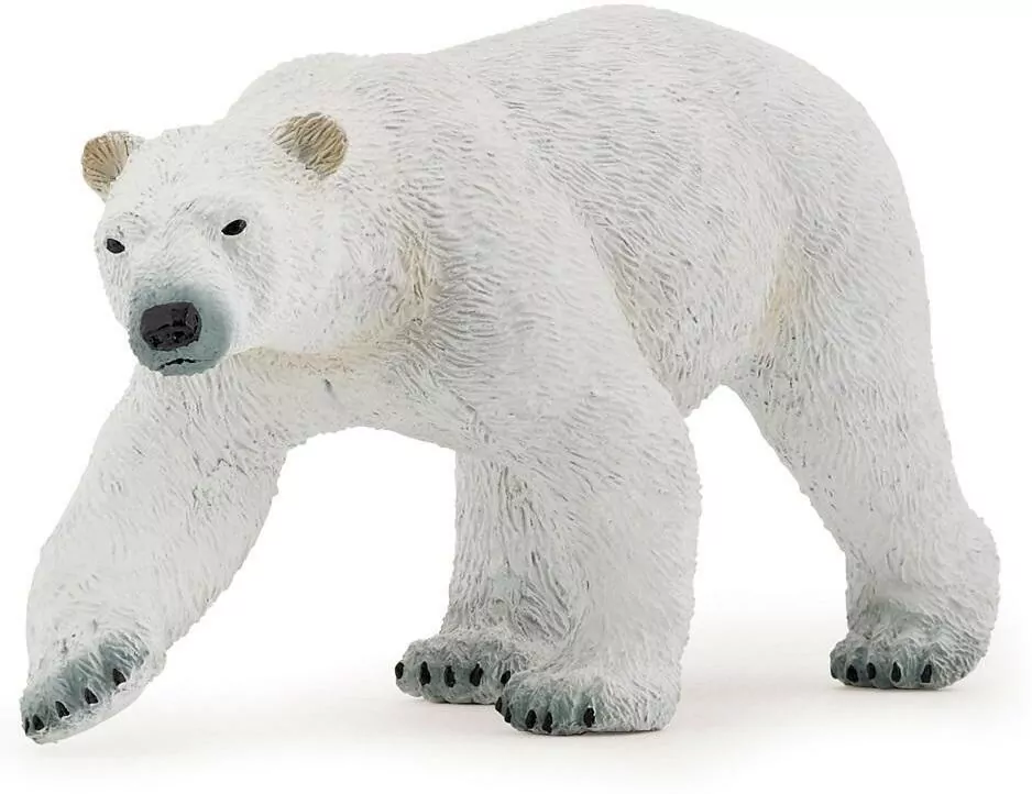 Niedźwiedź polarny - tantis.pl