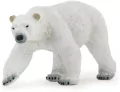 Niedźwiedź polarny - tantis.pl