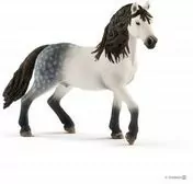 Ogier rasy Andaluzyjskiej. Horse Club - tantis.pl