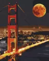 Malowanie po numerach: Golden Gate 40x50cm - tantis.pl