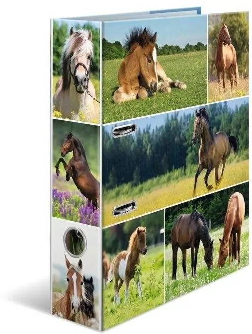 Segregator A4. Konie na łące - tantis.pl