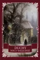 Duchy nocy wigilijnej - tantis.pl