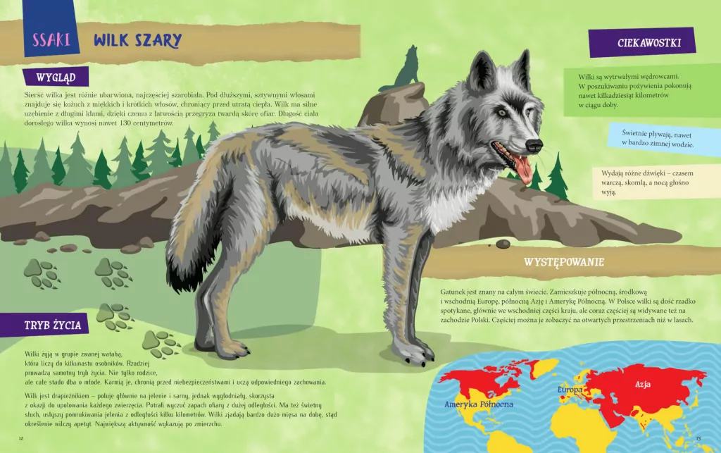 Atlas zwierząt dla dzieci - tantis.pl