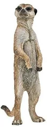 Surykatka stojąca - tantis.pl