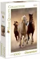 Puzzle 1000. High Quality Collection. Biegnące konie - tantis.pl