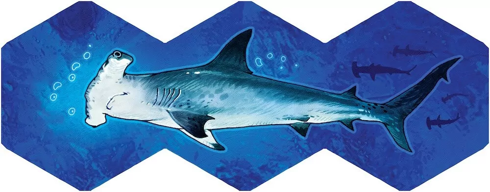 Aqua (edycja polska) - tantis.pl