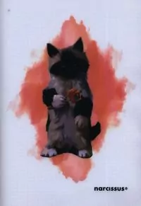 Zeszyt A4 60k. kratka PP JOY 1szt.mix - tantis.pl