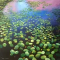 Karnet. Lilie wodne - tantis.pl