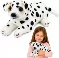 Dalmatyńczyk pluszowy 25cm - tantis.pl