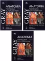 Pakiet: Anatomia. Gray. Podręcznik dla studentów. Tom 1-3 - tantis.pl