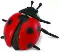 Biedronka M - tantis.pl