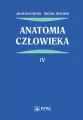 Anatomia człowieka. Tom 4 - tantis.pl