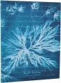 Notatnik linia Sea Flowers ultra - tantis.pl