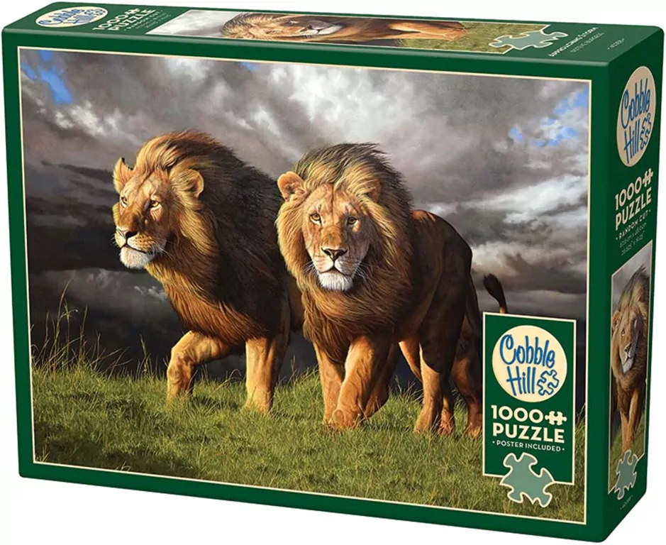 Puzzle 1000 Zbliża się burza G3 - tantis.pl