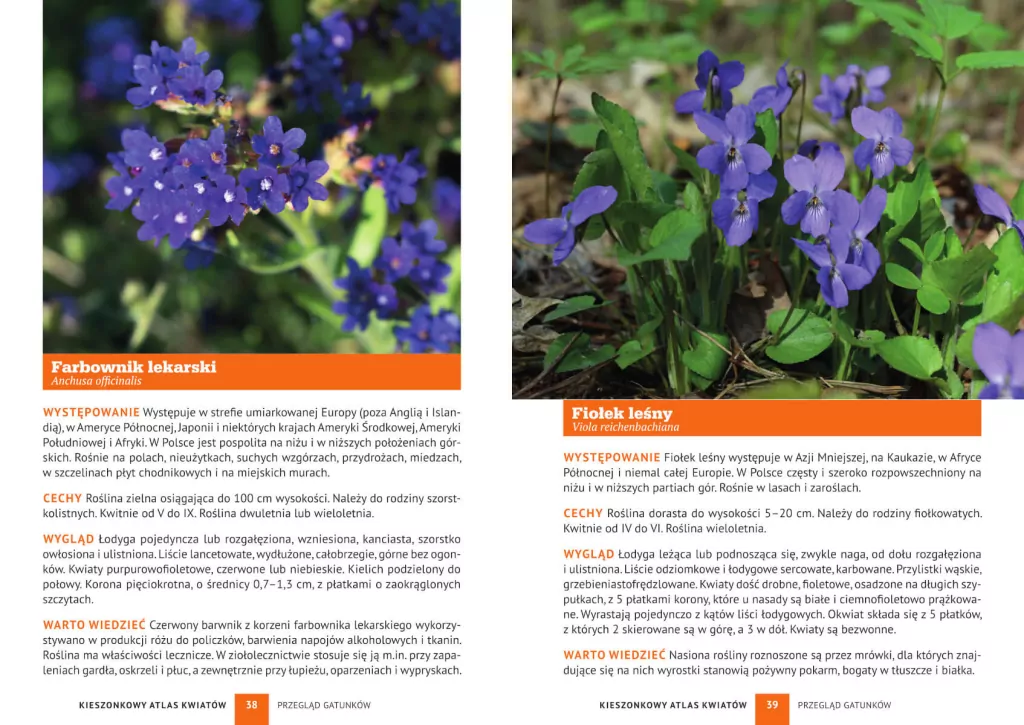 Kieszonkowy atlas kwiatów. 180 gatunków - tantis.pl