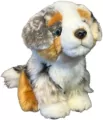 Pies australijski 19cm - tantis.pl