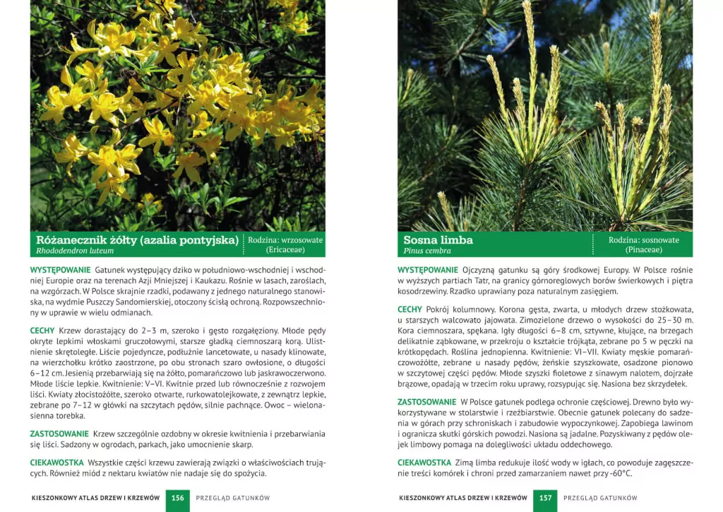 Kieszonkowy atlas drzew i krzewów. 180 gatunków - tantis.pl