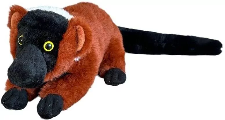 Lemur vari rudy 25cm - tantis.pl