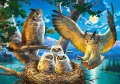Castor. Puzzle 500. Owl Family - tantis.pl