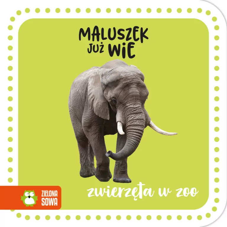 Maluszek już wie. Zwierzęta w zoo - tantis.pl