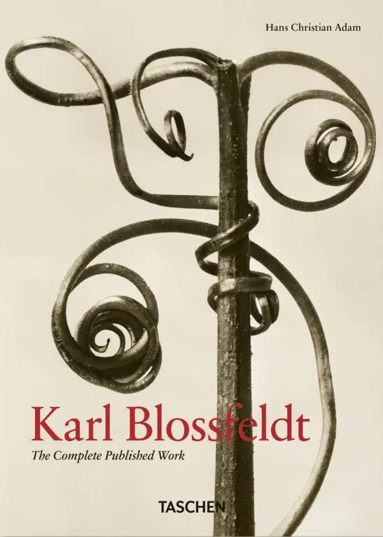 Karl Blossfeldt. The Complete Published Work. 40th Ed. wer. angielska - tantis.pl
