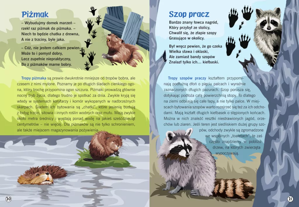 Moja przyroda. Ślady zwierząt - tantis.pl